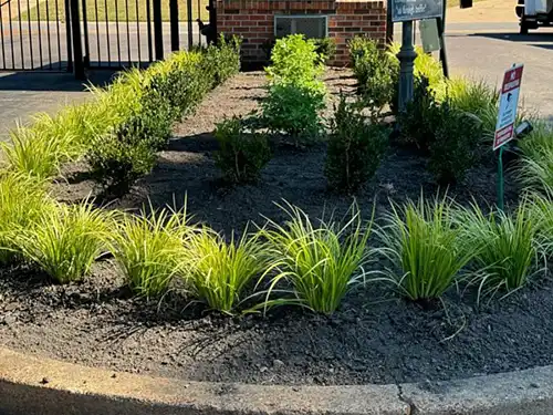 Landscape Installation, Memphis, TN
