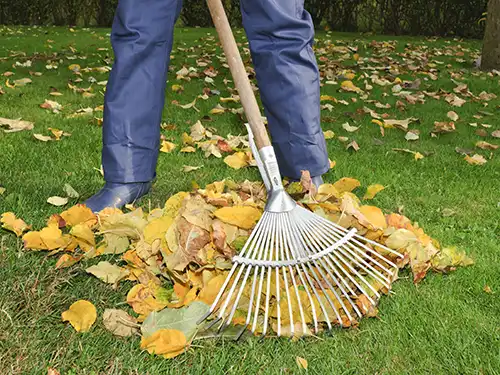 Leaf Removal, Memphis, TN