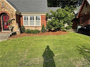 Photo 29