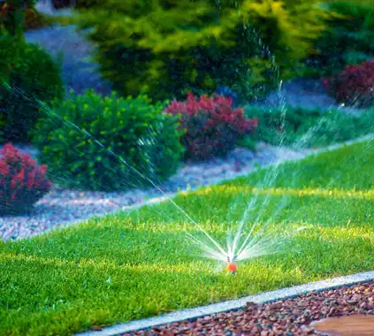 Irrigation, Fisherville, TN