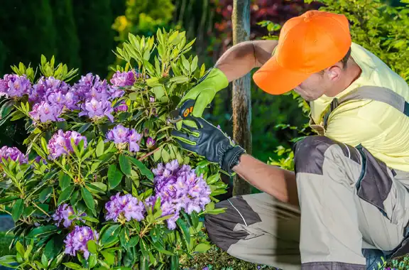 Landscape Maintenance Company, Germantown, TN