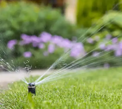 Irrigation Services, Memphis, TN